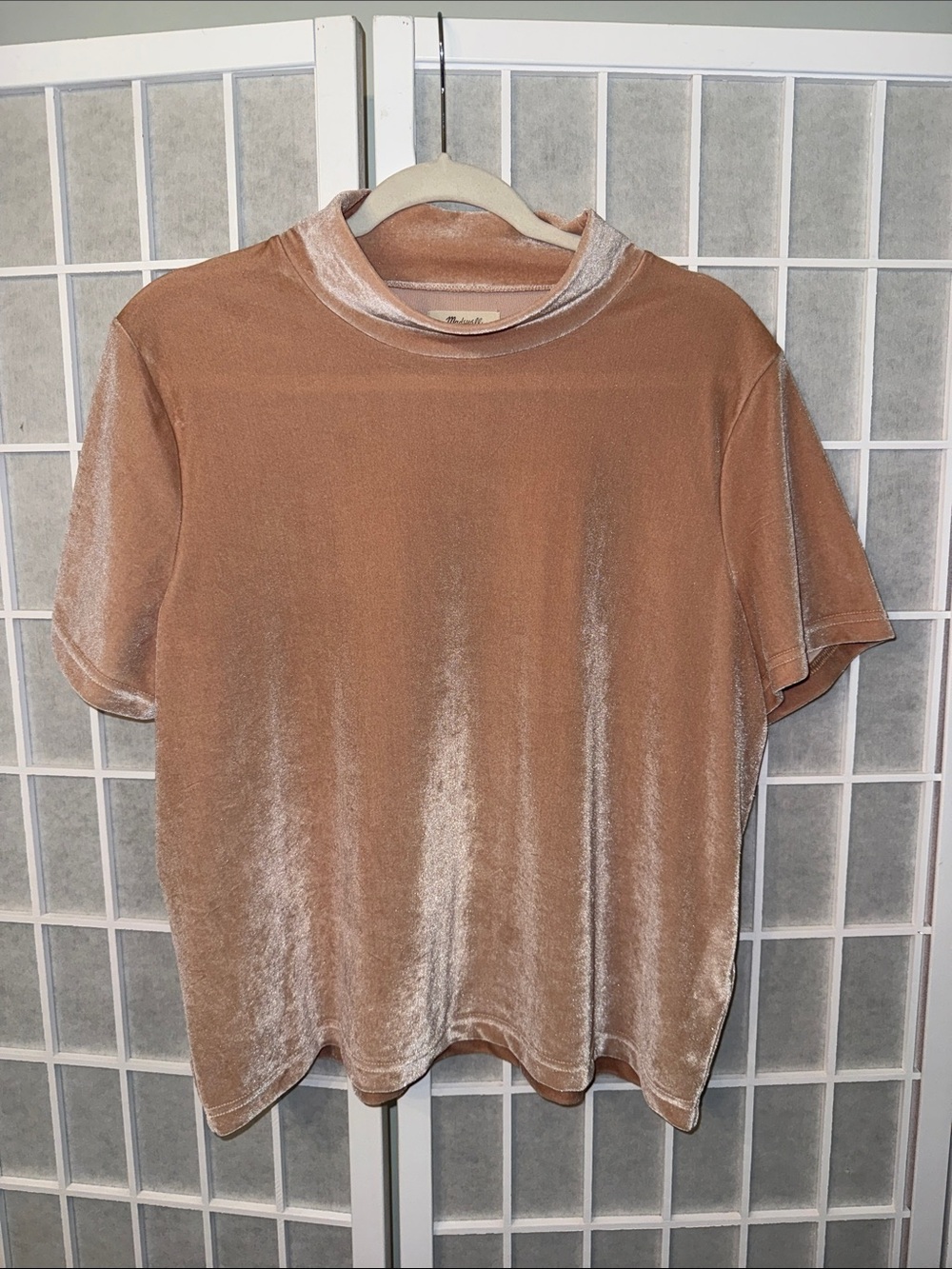 Madewell Velvet Short-Sleeve Tee in Light Brown Size XL